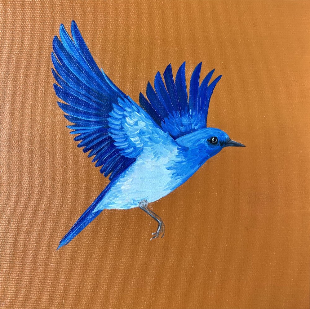 Sialia currucoides, painting by Elleny Gherghe